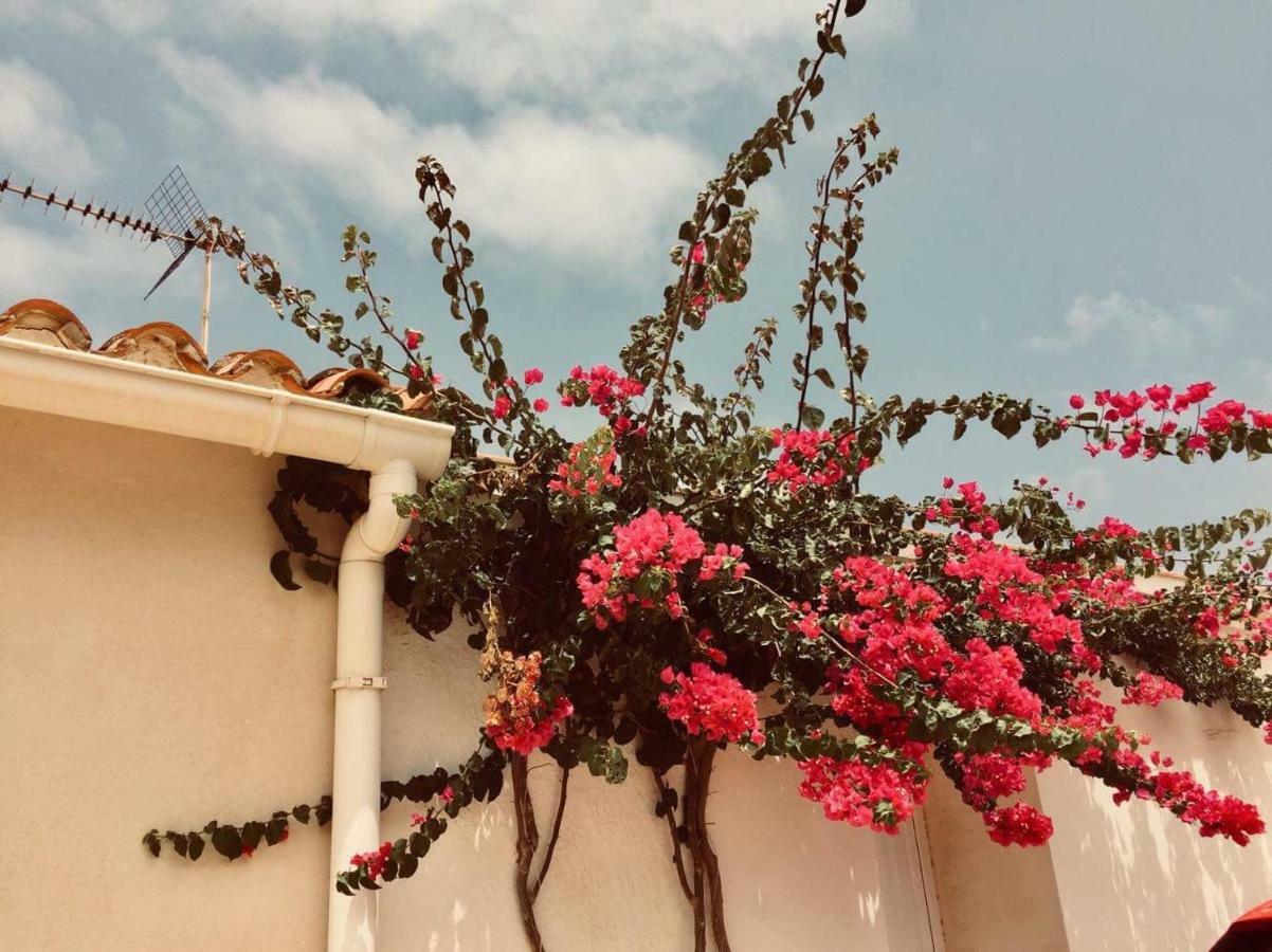 Lovely Apartment Old Town Denia Exterior foto